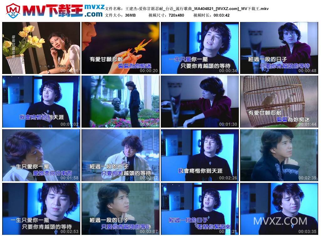 王建杰-爱你甘愿忍耐_台语_流行歌曲_MA404821